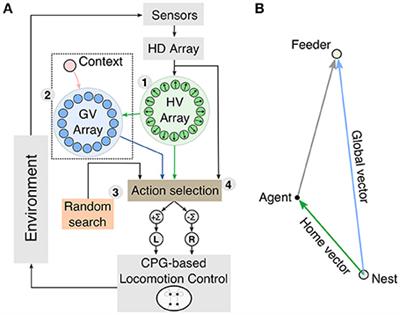 A Neurocomputational Model of Goal-Directed Navigation in Insect-Inspired Artificial Agents